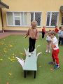 Dzień Bezpieczeństwa, 